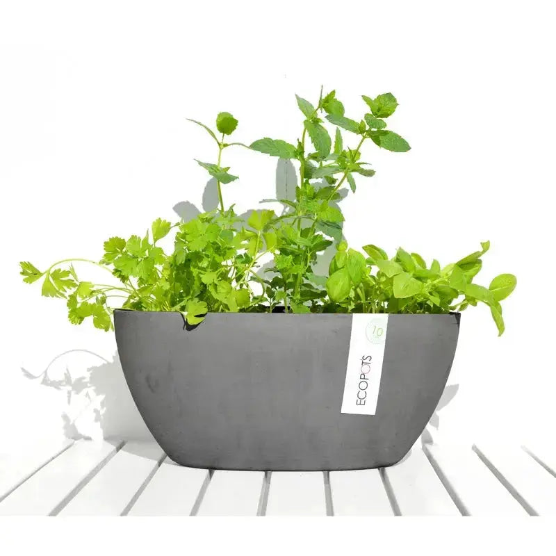 Vaso Ovale Sofia 30 cm - Ecopots - Planteon