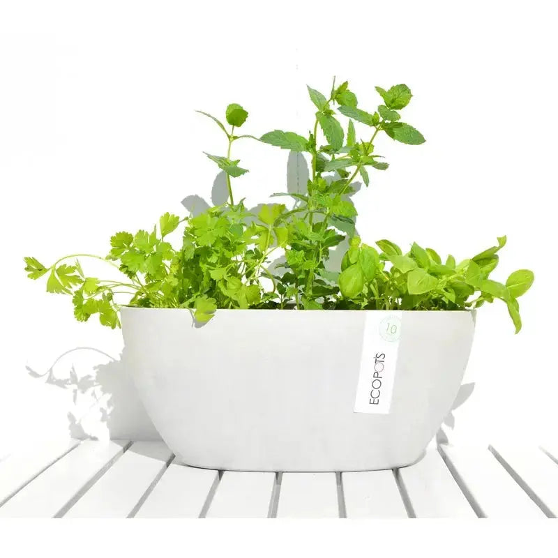 Vaso Ovale Sofia 30 cm - Ecopots - Planteon