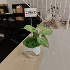 Festa del Papà baffi3