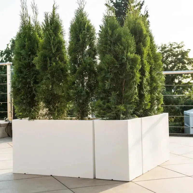 Vaso IdelSign High Atlantis Light - Idel - Planteon