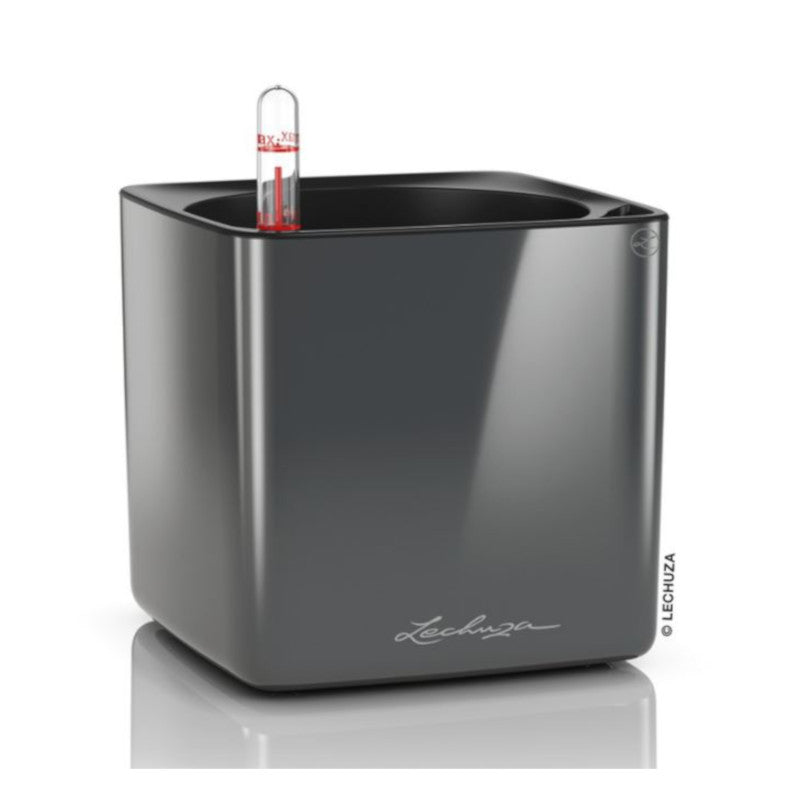 Lechuza Cube Glossy 16