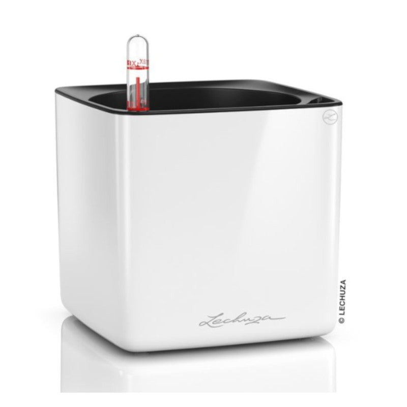 Lechuza Cube Glossy 16