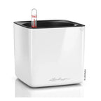Lechuza Cube Glossy 16