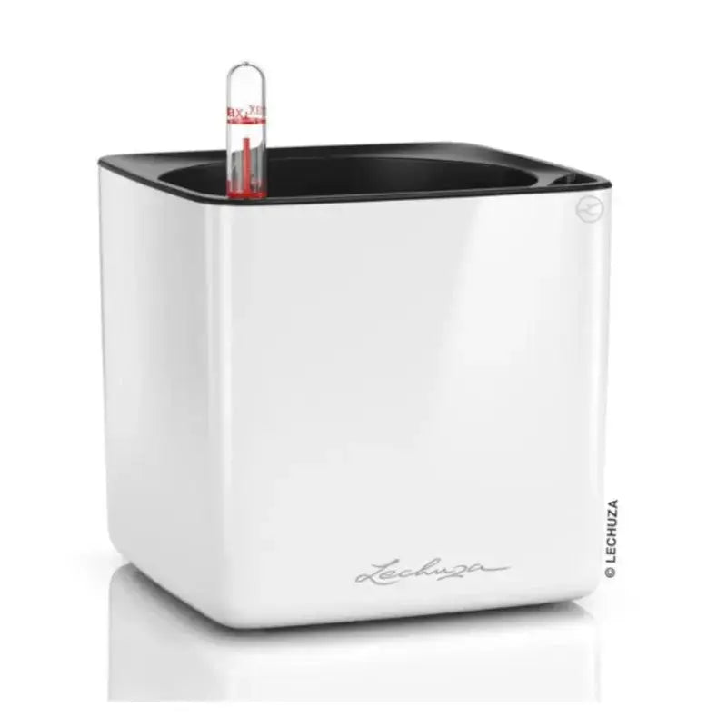 Lechuza Cube Glossy 16