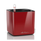 Lechuza Cube Glossy 16