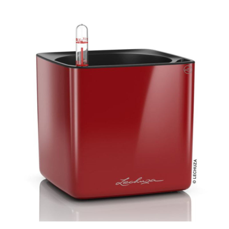 Lechuza Cube Glossy 16