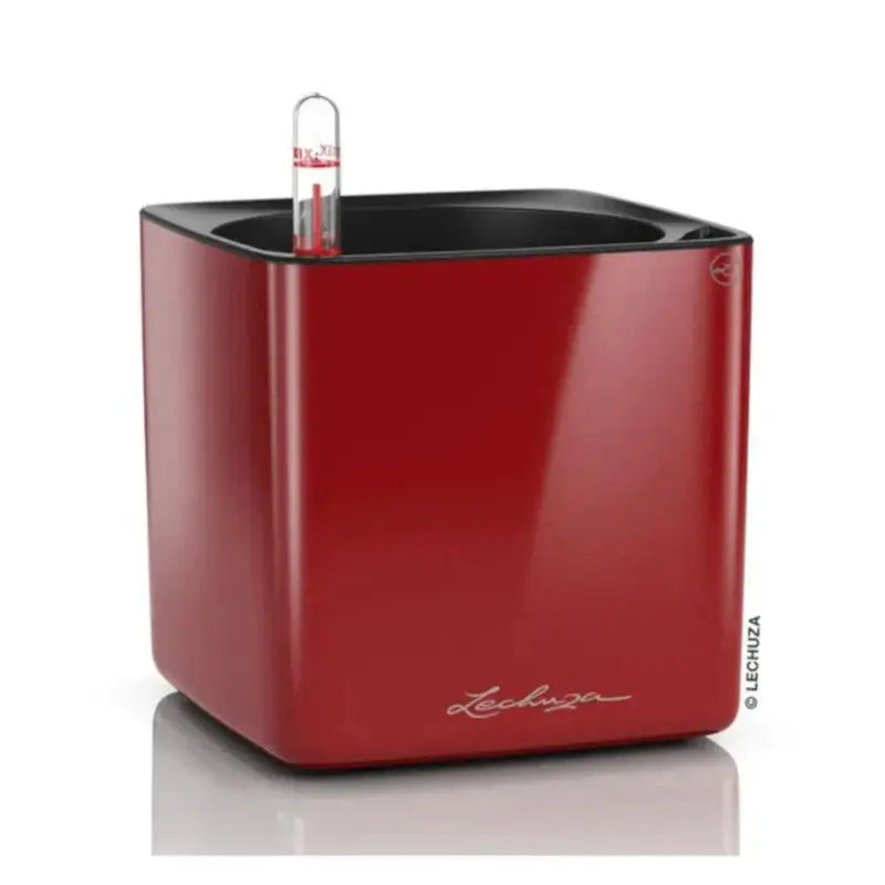 Lechuza Cube Glossy 16