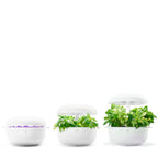 Plantui smartgarden 6