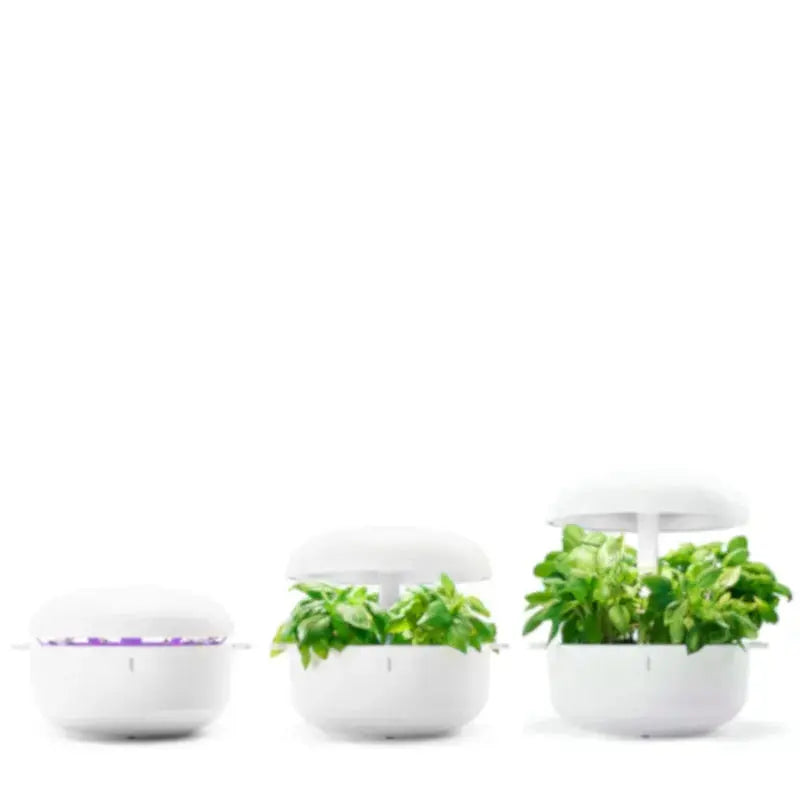 Plantui smartgarden 6