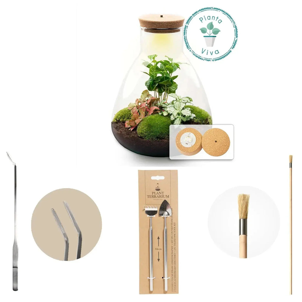 Kit Terrario Caffè - Planteon