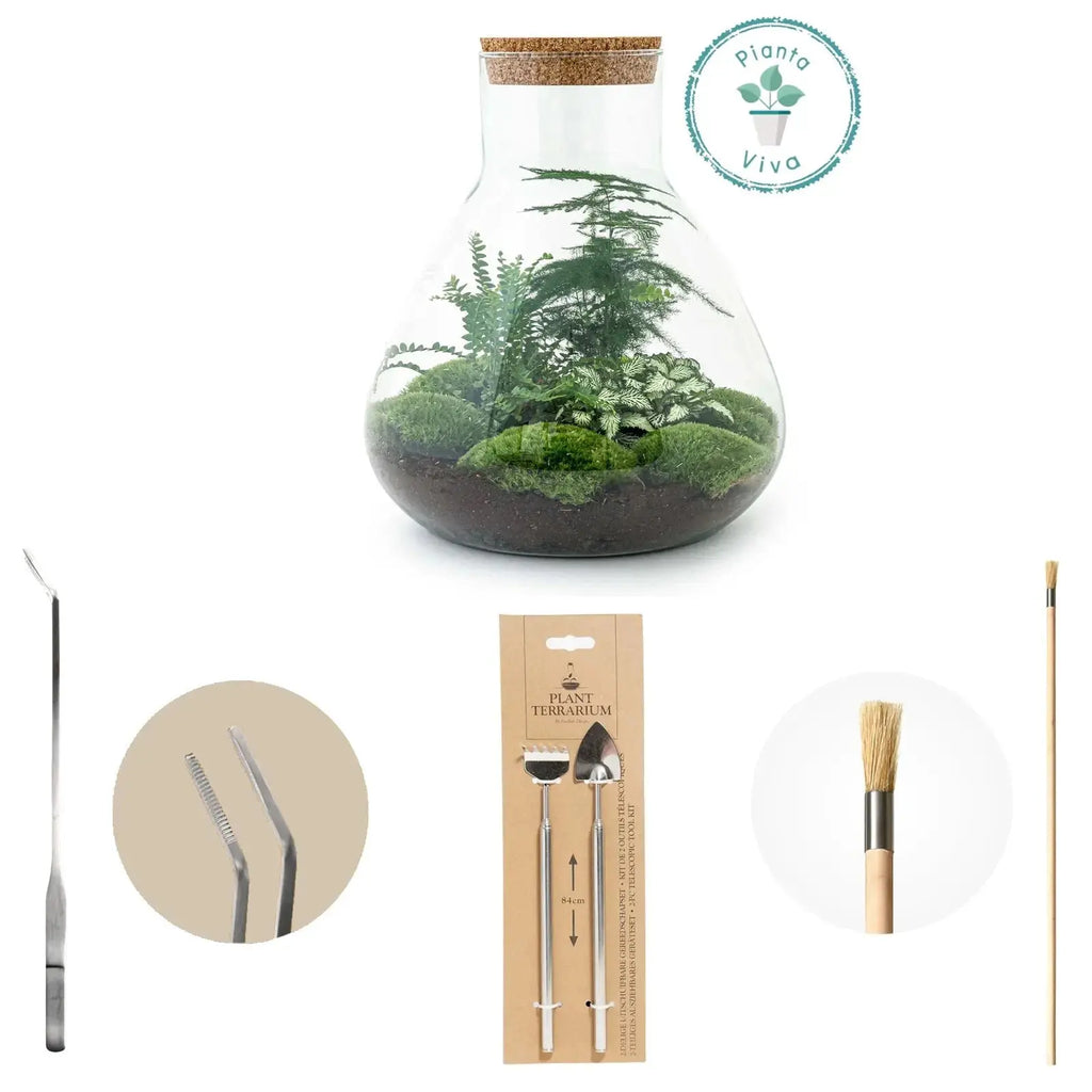 Kit Terrario Verde - Planteon