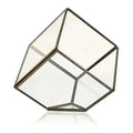 Terrario in vetro: Cubo