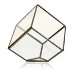 Terrario in vetro: Cubo