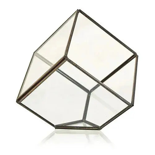 Terrario in vetro: Cubo