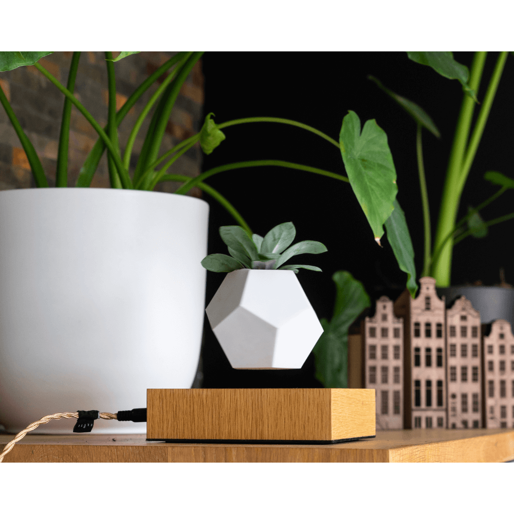 Vaso Levitante Magnetico - LYFE Planter - Quercia