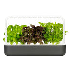 Click and Grow - The Smartgarden 9 - Planteon