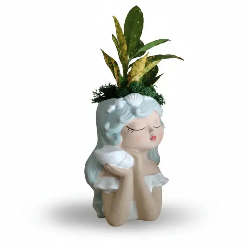 Portapiante Decorativo “Anime Marine” – Perla e Conchiglia Planteon
