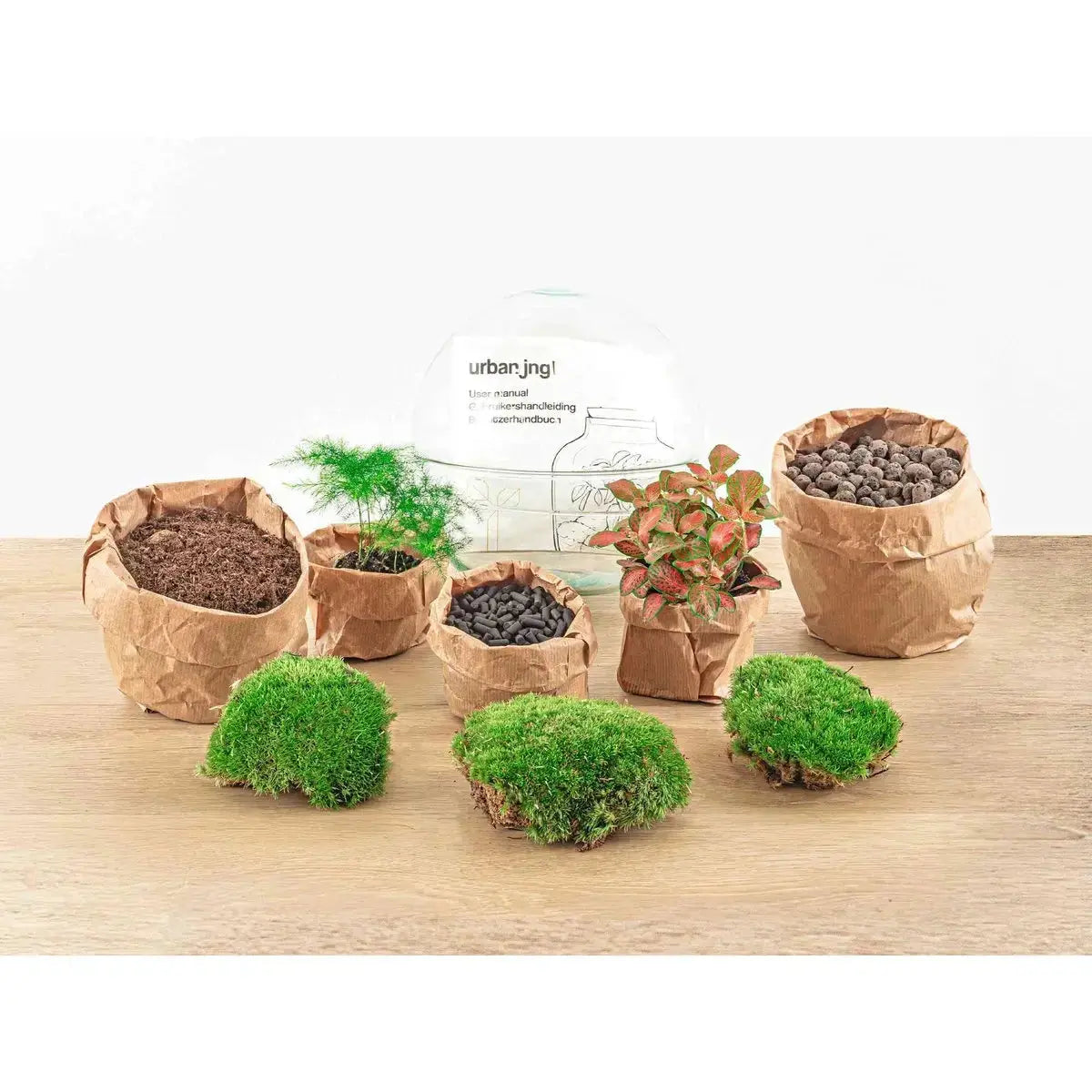 Kit Terrario Cupola - Planteon