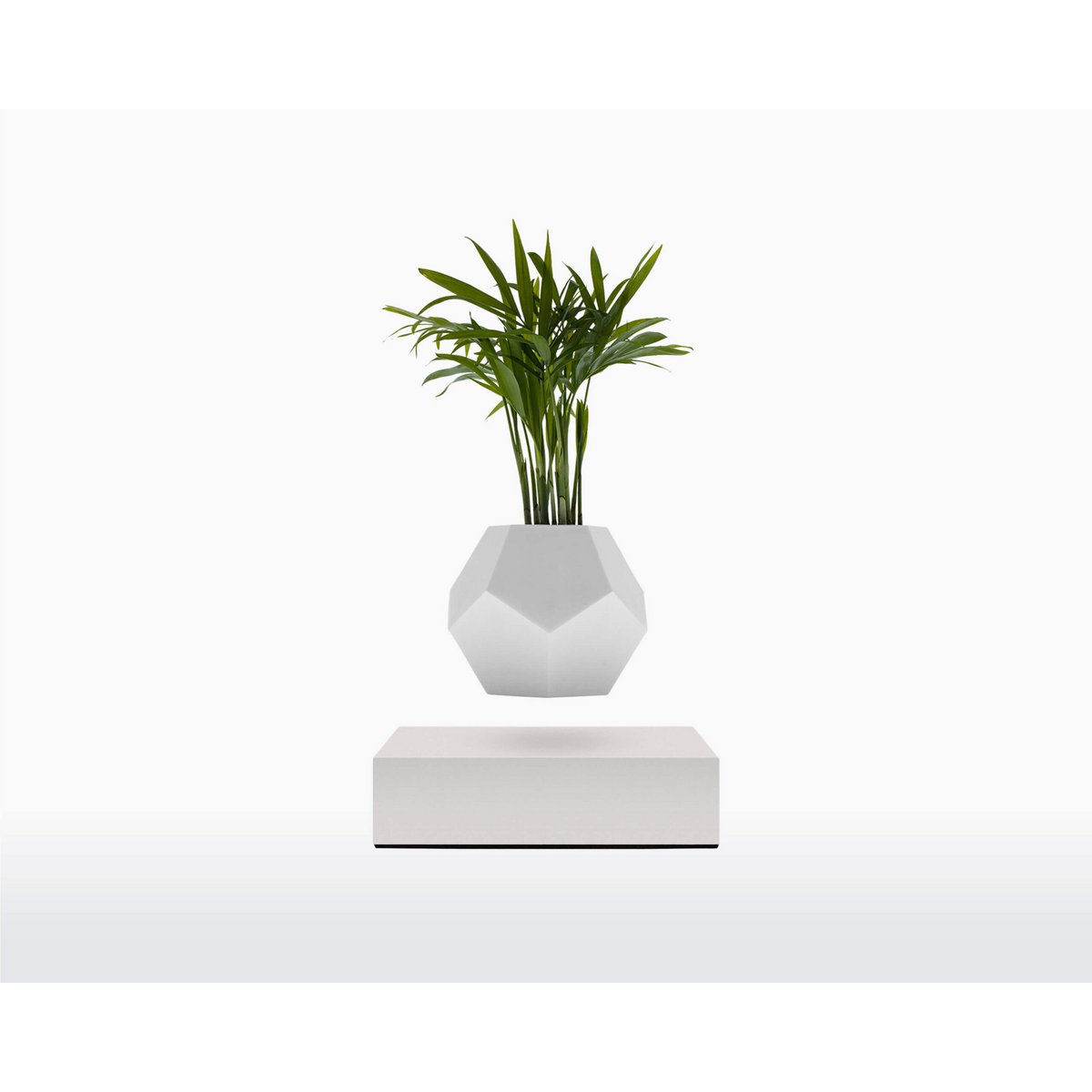 Vaso Levitante Magnetico - LYFE Planter - Quercia