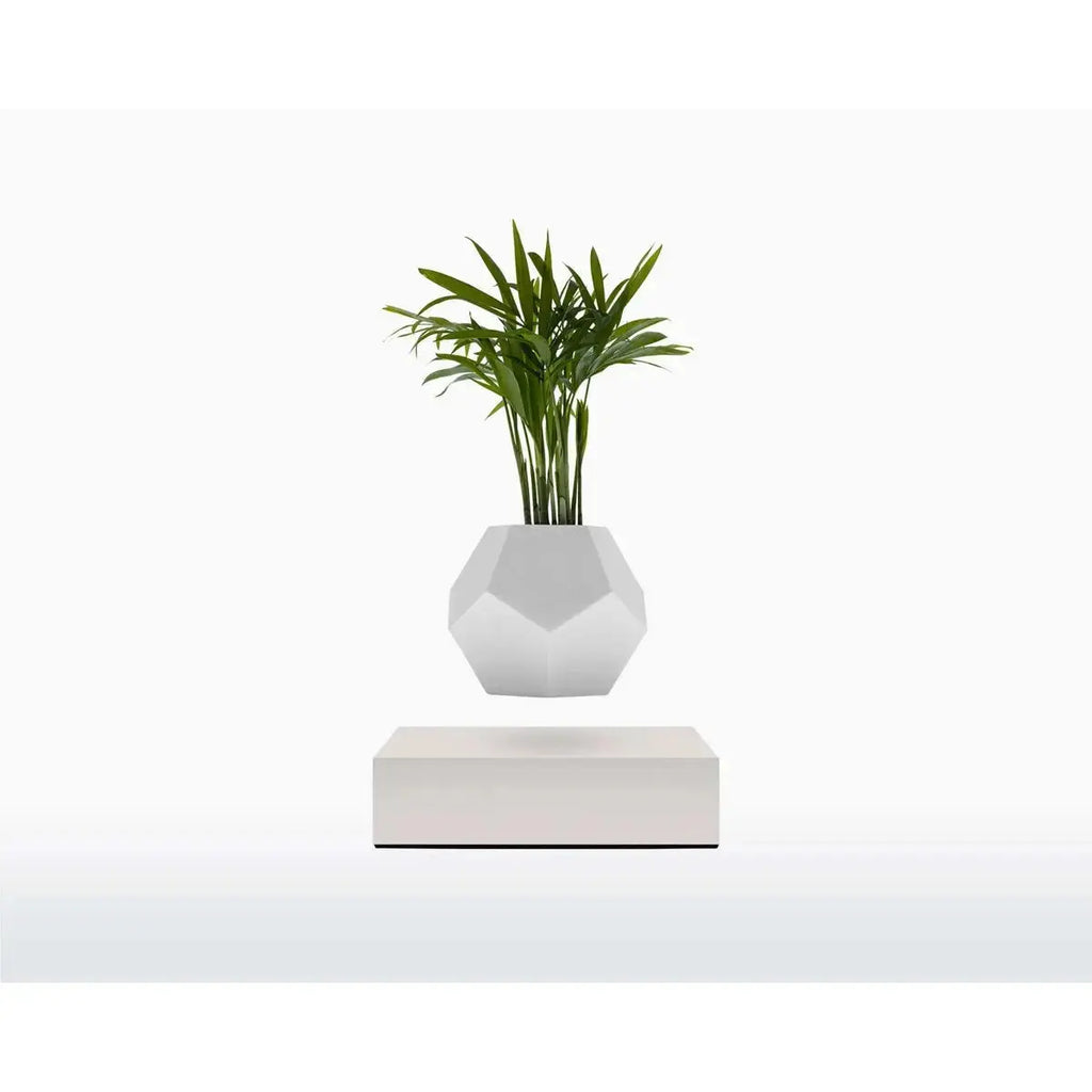 Vaso Levitante Magnetico - LYFE Planter - Quercia - Planteon