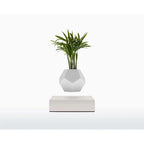 Vaso Levitante Magnetico - LYFE Planter - Quercia - Planteon