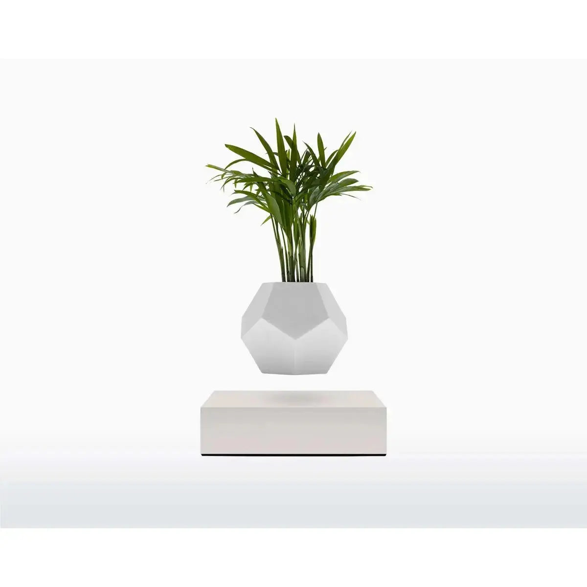 Vaso Levitante Magnetico - LYFE Planter - Quercia - Planteon