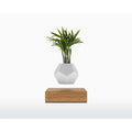 Vaso Levitante Magnetico - LYFE Planter - Quercia - Planteon