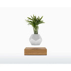 Vaso Levitante Magnetico - LYFE Planter - Quercia - Planteon