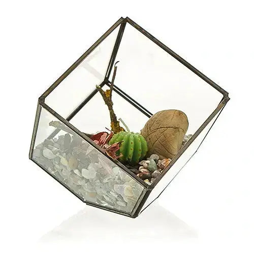 Terrario in vetro: Cubo - Planteon