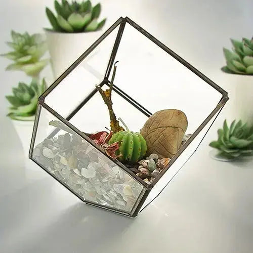 Terrario in vetro: Cubo - Planteon