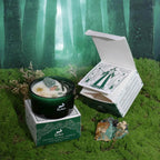 Candela Crystal Magic – Hop Hare con Pietre e Fiori Secchi - Planteon