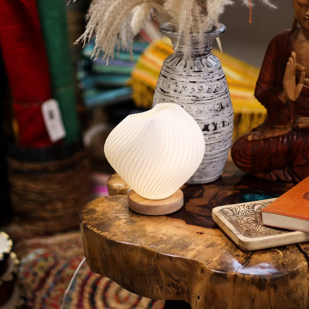 lampada conchiglia contesto