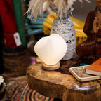 lampada conchiglia contesto