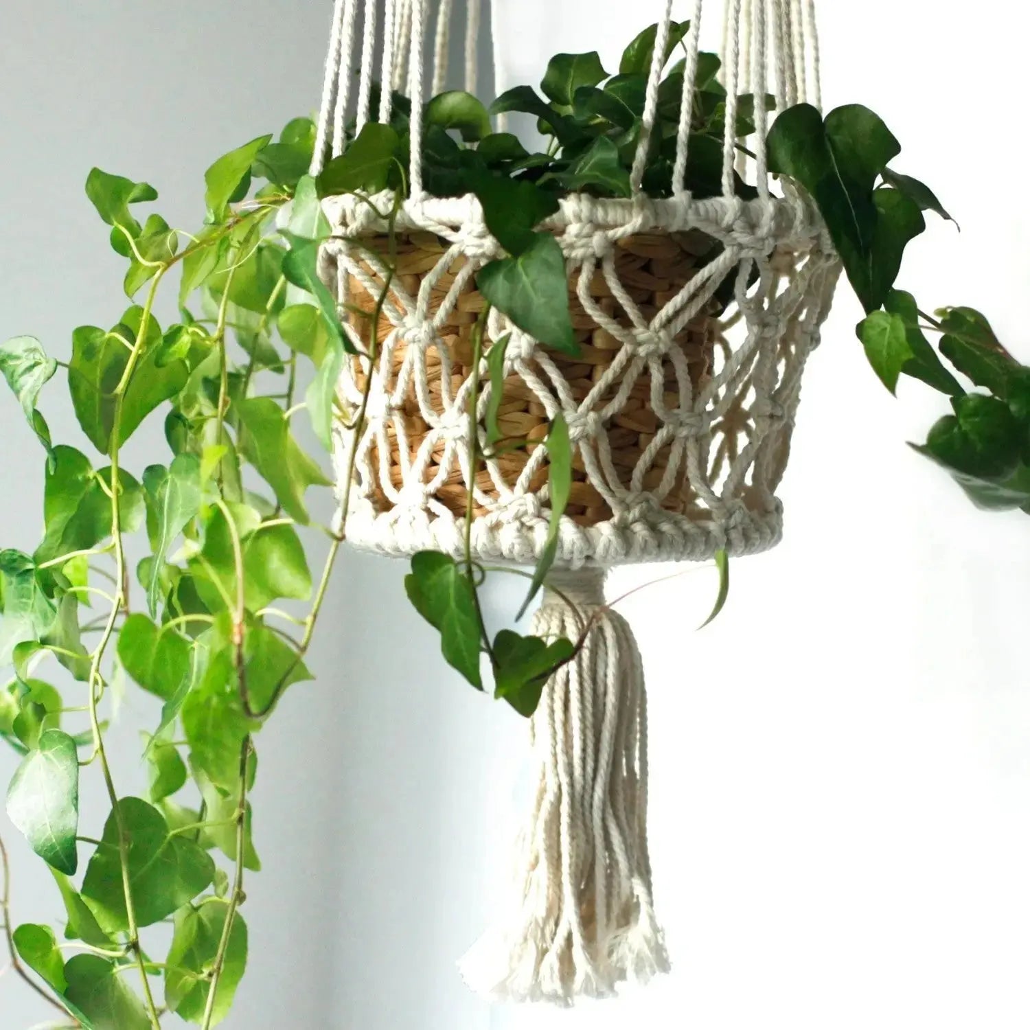 Porta Piante in Macramè - Doppio supporto - Planteon