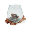 Vetro Fuso: Jar Terrarium Small