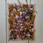 fiori secchi mix2