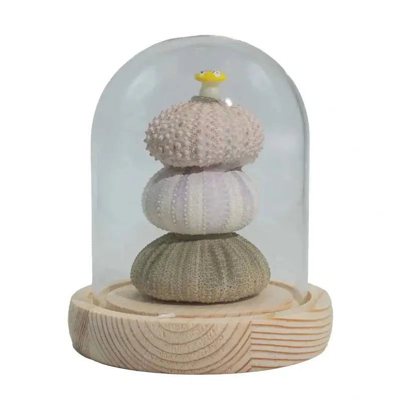 sfera ricci di mare