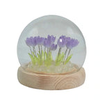 tulipani_viola_sfera