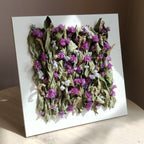 Quadro Botanico in Fiori Secchi – Armonia d'Estate